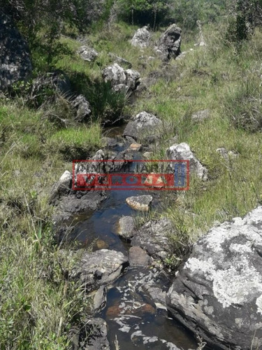 Imagen 4 de 16 de Campo En Carape - Departamento De Maldonado