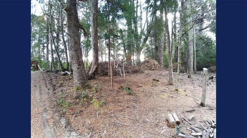 Imagen 14 de 26 de Venta Lote/terreno De 4955.50 M2 Cauquen 100 Altos De Manzano Villa La Angostura