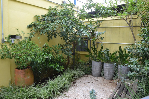 Imagem 2 de 14 de Linda Casa Com Jardins E Salão De Festa !