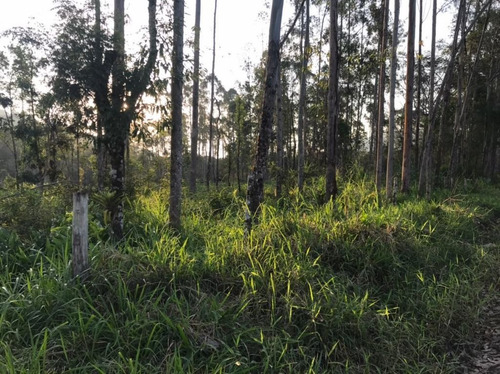 Imagem 8 de 29 de Fazenda À Venda, 3509000 M² Por R$ 2.000.000 - Centro - Pariquera-açu/sp - Fa0216