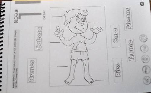 Actividades Recortables 1° Primaria