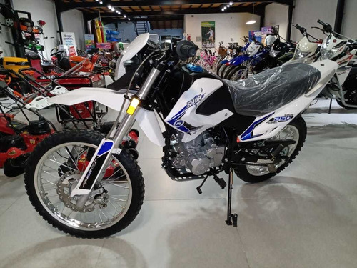 Imagen 4 de 16 de Motomel Skua 250 Pro - Division Ruedas