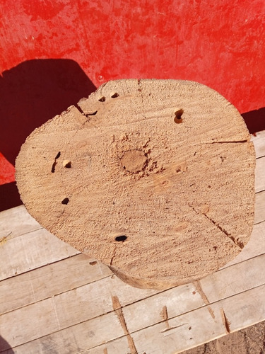 Muy Lindo Cactus Cardón Seco Deco Arte Envio Gratis
