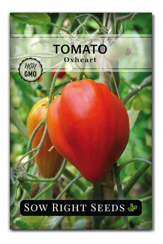 Semilla De Tomate Rosa Oxheart Para Plantar En Huerto
