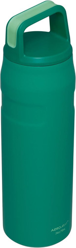 Botella De Agua Con Tapa Iceflow Cap & Carry