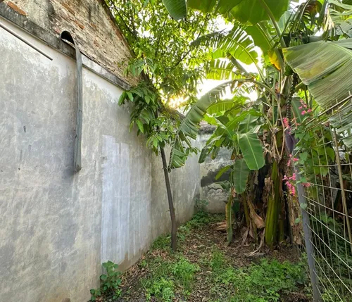 Arriendo Apartaestudio En Primer Piso Con Patio Barrio La Flora Norte De Cali