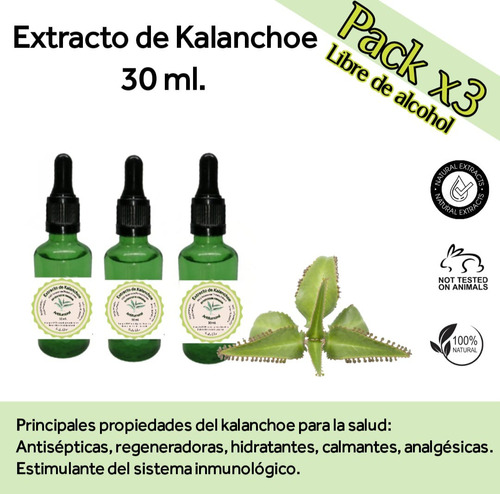 Extracto De Kalanchoe - Pack X 3 - Sin Alcohol