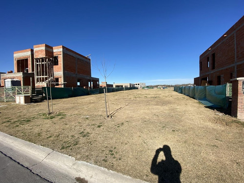 Imagen 4 de 9 de ¡oportunidad! Lote Interno - Bº Santa Ana - Villanueva - Tigre - Apto Para Construir Ya!!!