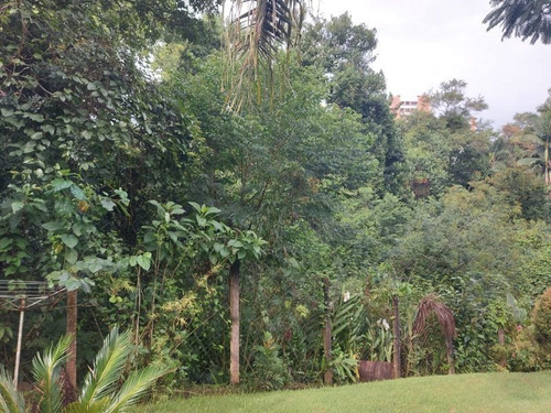 Imagem 2 de 2 de Terreno Em Blumenau - Garcia - 919