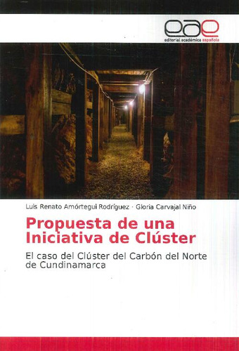 Libro Propuesta De Una Iniciativa De Clúster. De Luis Renato