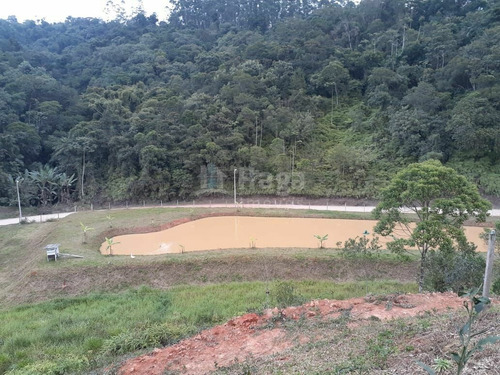 Sítio À Venda Em Gaspar/sc - 1539