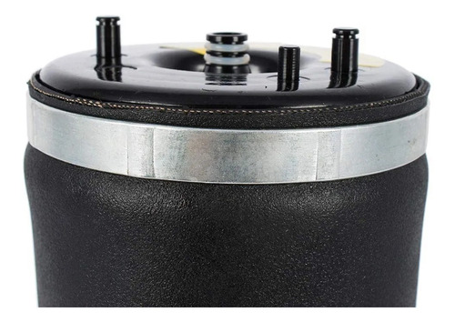 Bolsa De Aire Suspension Trasera Bmw X5 2000 &