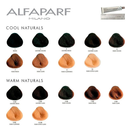 Kit Combo Tintura Alfaparf Evolution X 50 U Coloración Color