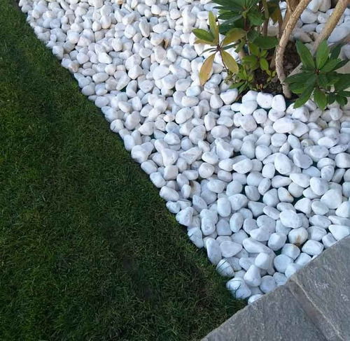 Piedras Decorativas Para Paisajismo Jardin Color Blanco 1 Kg