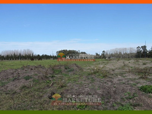 Imagen 21 de 22 de Chacra En Venta 3 Has Con Casa En El Colorado