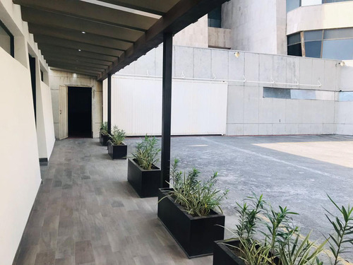 Oficina - San Pedro Garza Garcia