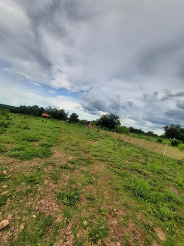 Imagem 8 de 14 de Sítio 25 Hectares - 0034
