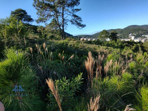 Imagem 10 de 19 de Terreno À Venda, 450 M² Por R$ 787.000,00 - Itacorubi - Florianópolis/sc - Te0280