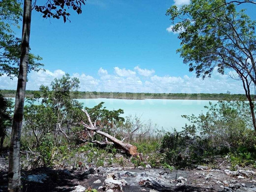 Imagen 13 de 18 de Terreno En Venta Frente A Laguna Chile Verde Cerca De Chetumal Em02021