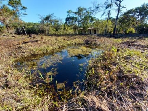 Imagem 2 de 9 de Terreno À Venda Com Lago. Itanhaém/sp 9041-pc
