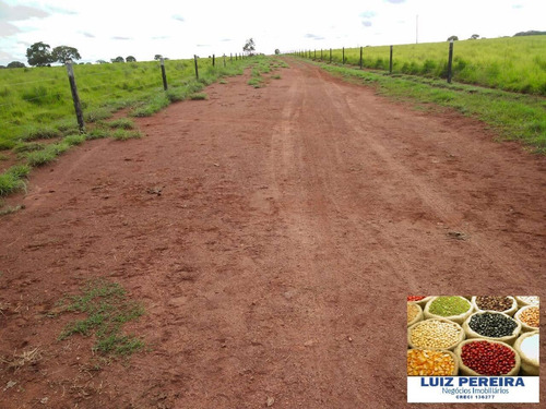 Imagem 14 de 15 de Fazenda À Venda Em Formoso Do Araguaia-to - 1.771 Hectares (dupla Aptidão) - 1618