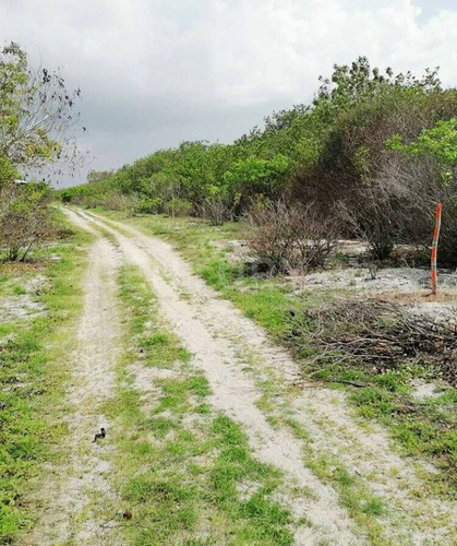 Terreno De 2,000 M2 Frente Al Mar, Real De Salinas, Campeche.