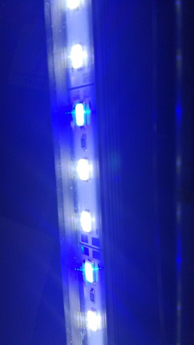 Imagem 1 de 4 de Lâmpada Aquário Led Super Branca E Super Blue Bivolt 45 Cm