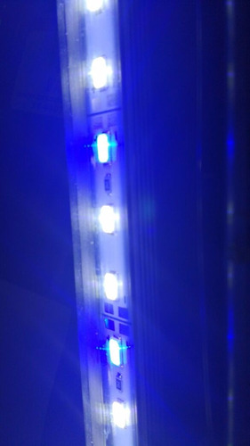Imagem 1 de 4 de Lâmpada Aquário Led Super Branca E Super Blue Bivolt 20 Cm