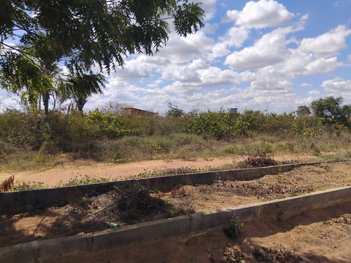 Vende-se Dois Terrenos De 1mil Metros Quadrados 20x50.