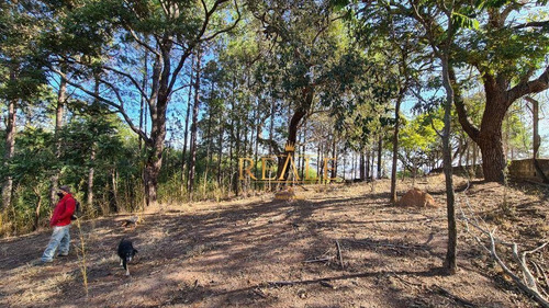 Imagem 7 de 12 de Área À Venda, 12318 M² Por R$ 1.200.000,00 - Pinheirinho - Vinhedo/sp - Ar0026