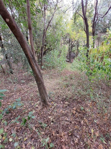 Imagen 7 de 12 de Vendo Lote En Agua De Oro! Ubicado A 3 Cuadras De La Ruta!