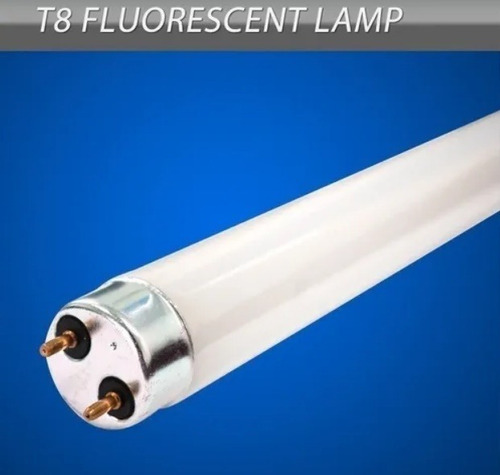 Bombillos Fluorescente Prolight F32 T8 