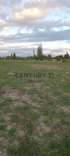 Imagen 14 de 15 de Gran Terreno En Venta En Junin De Casi 10.000 Metros