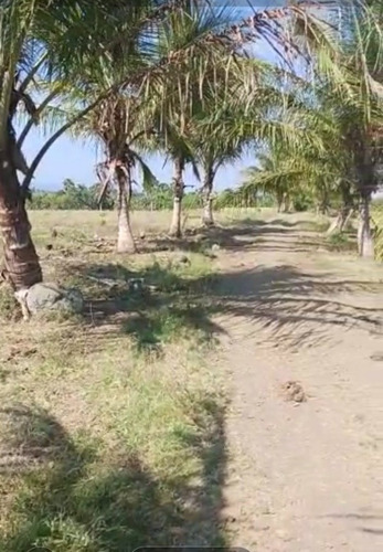 Vendo Finca 350 Tareas Moca Espaillat