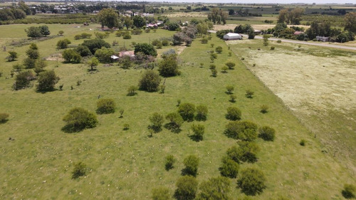 Chacra En Venta, 11 Hectáreas, Aldea San Antonio (gualeguaychú) Casa Con Piscina.
