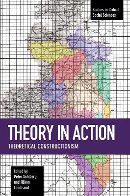 Libro Theory In Action : Theoretical Constructionism - Ha...