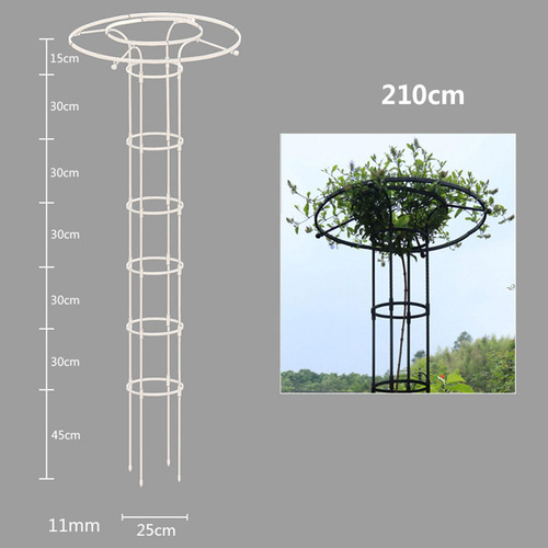 Torre De Enrejado Para Plantas Con Forma De Para 210 Cm