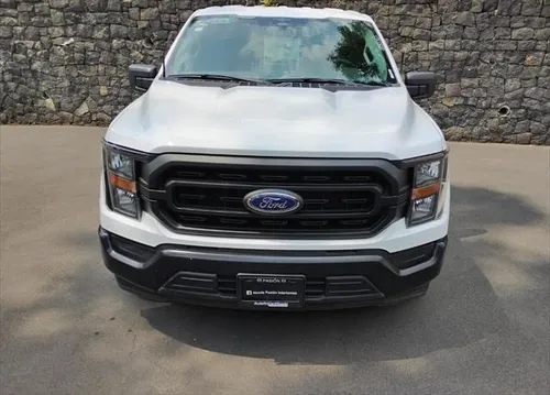 Ford F-150 3.3 XL Doble Cabina V6 4x2 At