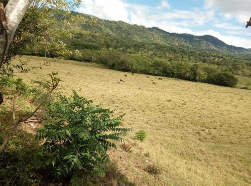 Se Vende Finca En Puerto Plata Imbert