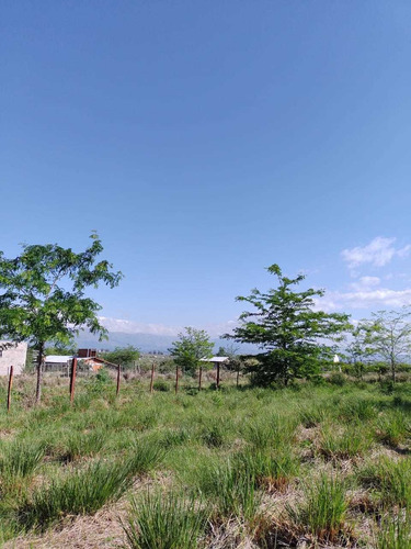 Imagen 2 de 4 de Yacantop S.r.l. Vende Terreno Zona Centrica
