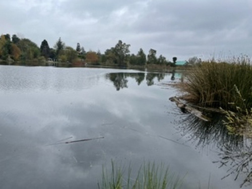 Terreno Laguna Avendaño Loteo Antupahuil