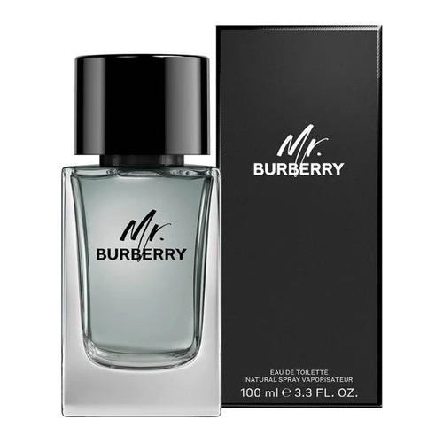 Perfume Original Mr Burberry Edt 100ml Hombre