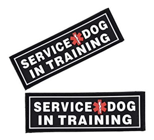 Perro De Servicio Dogline En Entrenamiento Parches Para Arnr