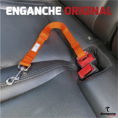 Imagen 5 de 9 de Cinturon De Seguridad Mascota Auto Correa Perro Reforzada