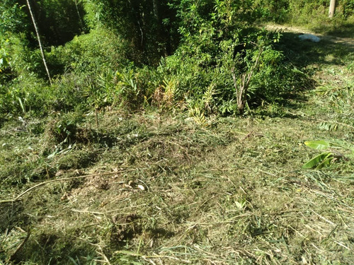 Imagem 7 de 14 de Terreno Em Miracatu C/ 30 Mil M