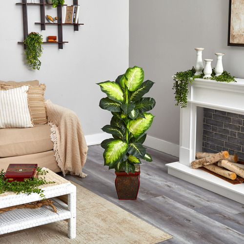 Dieffenbachia Dorada Con Maceta Decorativa Color Verde