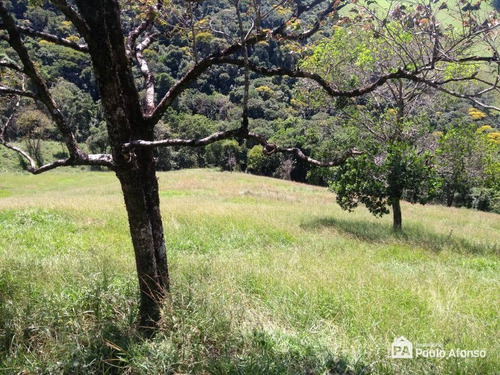 Chácara Residencial À Venda, Centro, Divinolândia - . - Ch0026