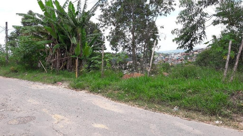 Imagem 4 de 5 de Terreno Em Jardim Elba - Francisco Morato - 140
