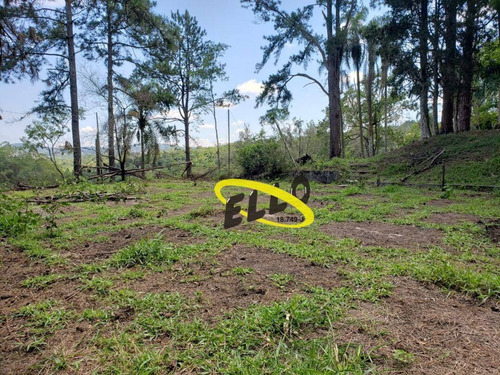 Imagem 18 de 19 de Terreno À Venda, 21250 M² Por R$ 1.100.000,00 - Jardim Nossa Senhora Das Graças - Cotia/sp - Te0873