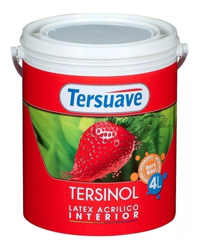 Pintura Latex Interior-exterior Tersinol 10 Lts. Tersuave .